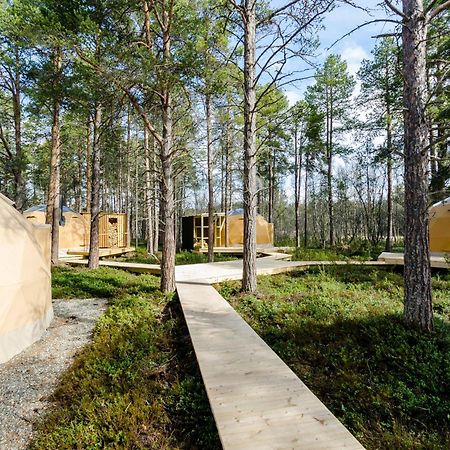 Glod Aurora Canvas Dome Alta Exterior foto